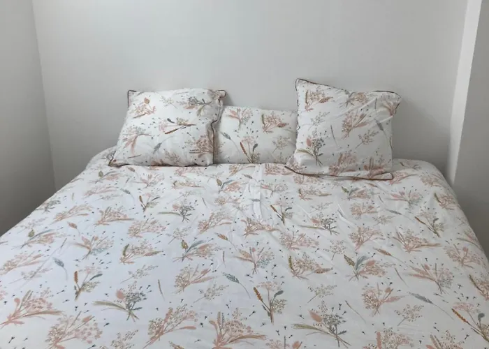 Maison 4-8 Personnes, Jardin, Mere Eglise *