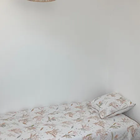 Maison 4-8 Personnes, Jardin, Mere Eglise *
